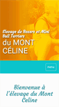 Mobile Screenshot of dumontceline.com